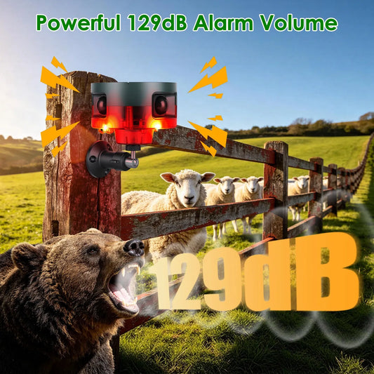 c9809839dd1c9247d258ef35931a2204