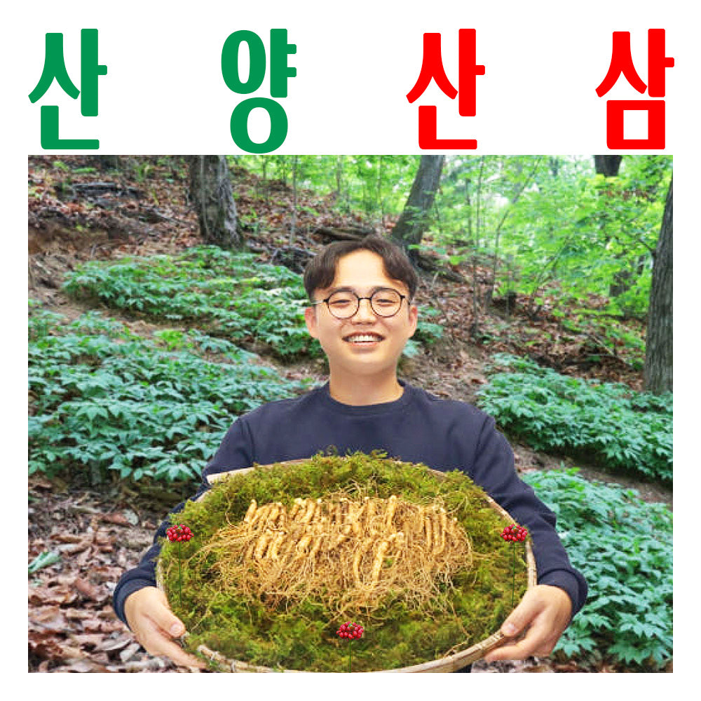 산양산삼/ 산양삼/ 산양산삼 파지삼(파삼) 50g