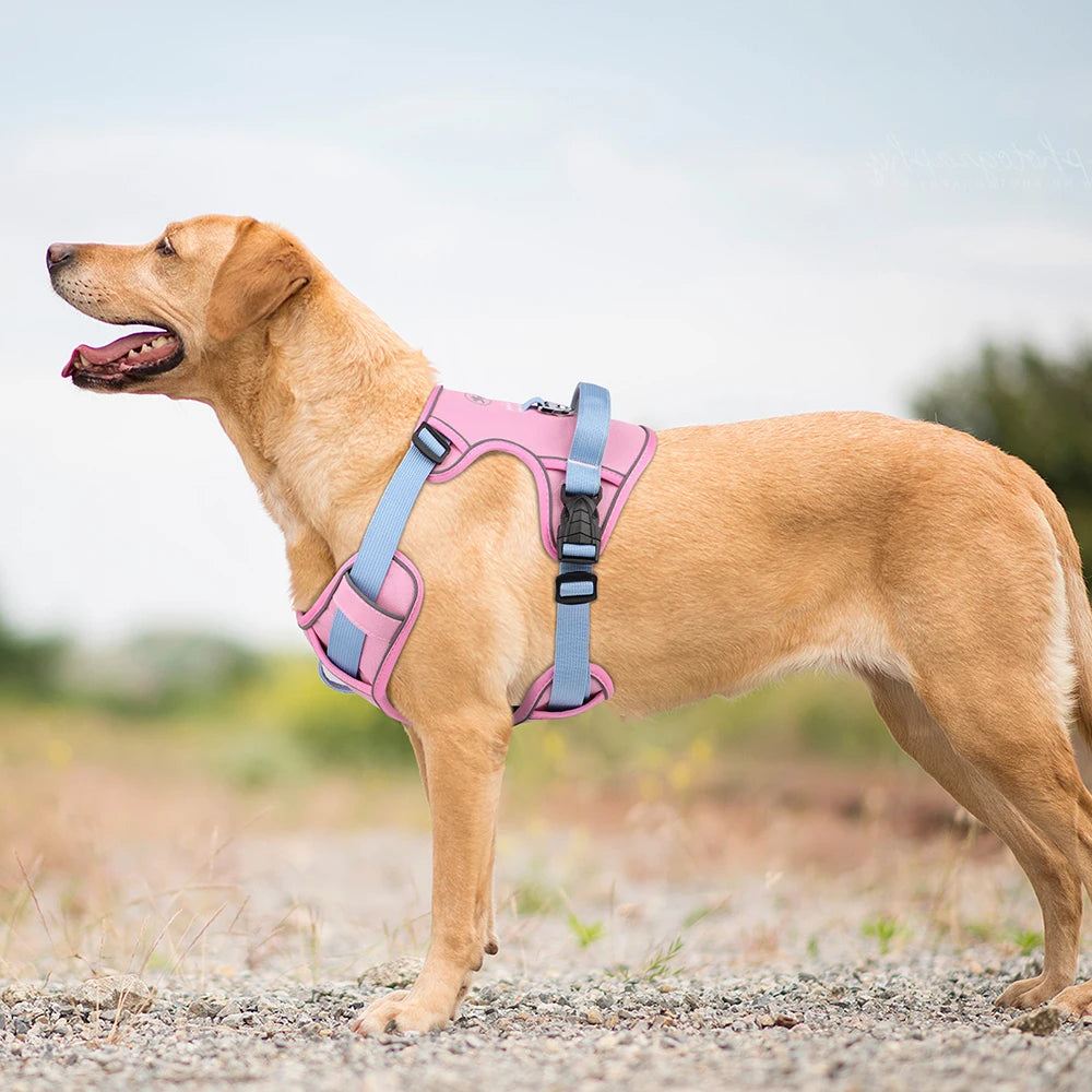Mesh Breathable Dog Harness, Nylon Reflective Dog Harnesses Vest, Durable Pet Training Vest, Adjustable for Small Medium Large Dogs