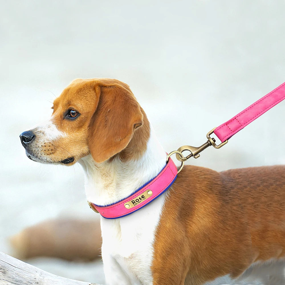 Customized Leather Dog Collar Leash Set, Soft Padded Leather Collar For Small Medium Large Dogs With Free Engraved Nameplate