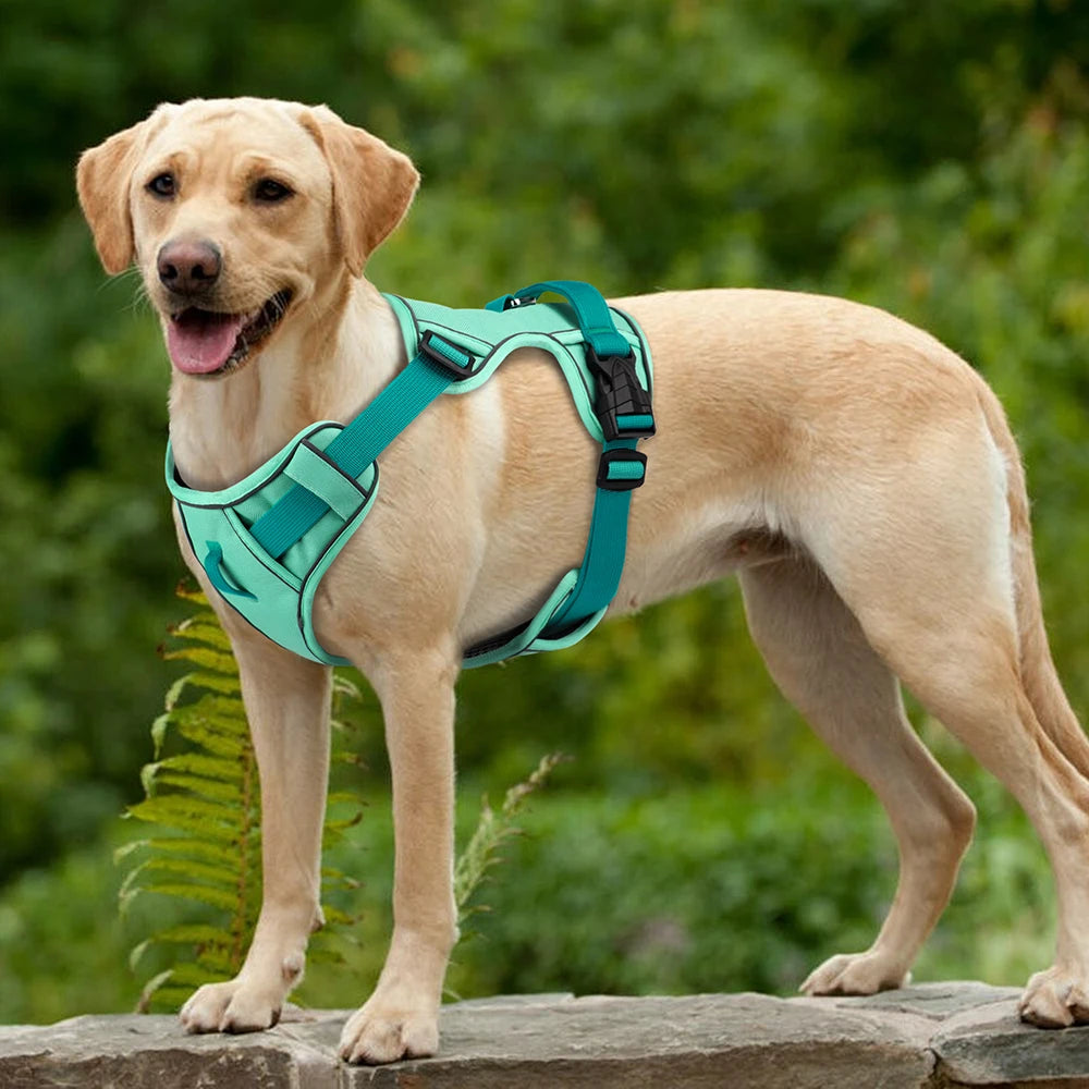 Mesh Breathable Dog Harness, Nylon Reflective Dog Harnesses Vest, Durable Pet Training Vest, Adjustable for Small Medium Large Dogs