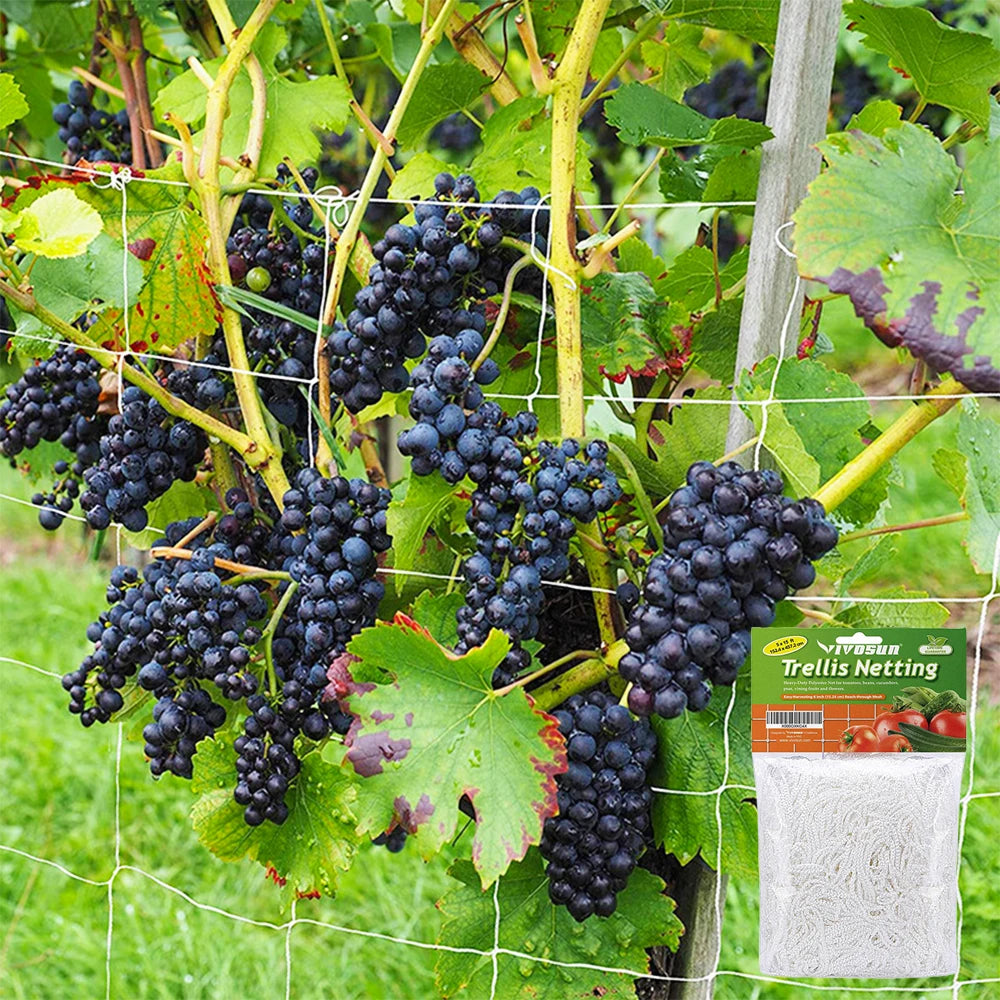 Garden Climbing Net, Trellis Netting, Heavy-Duty Plant Support Stand for Flowers Vegetable Vine, Orchard Gardening Tools