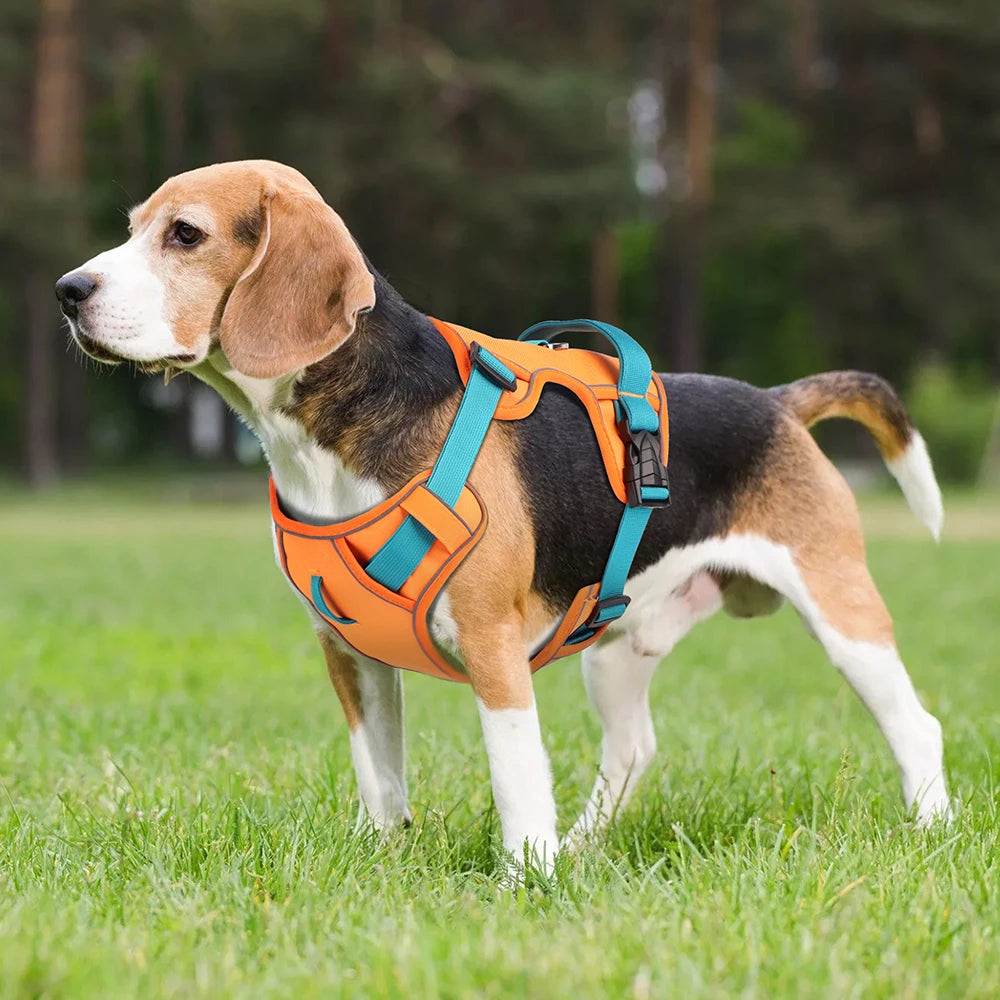 Mesh Breathable Dog Harness, Nylon Reflective Dog Harnesses Vest, Durable Pet Training Vest, Adjustable for Small Medium Large Dogs