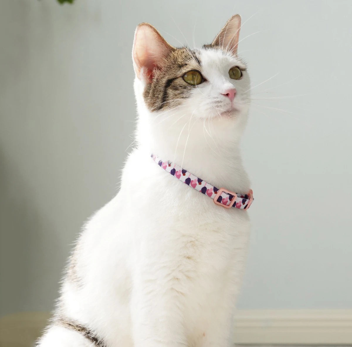 Cute Cat Weaving Necklace with Small Bell Design, Anti-Suffocation Cat Collar Adjustable 15-30cm Comfortable Soft nylon material