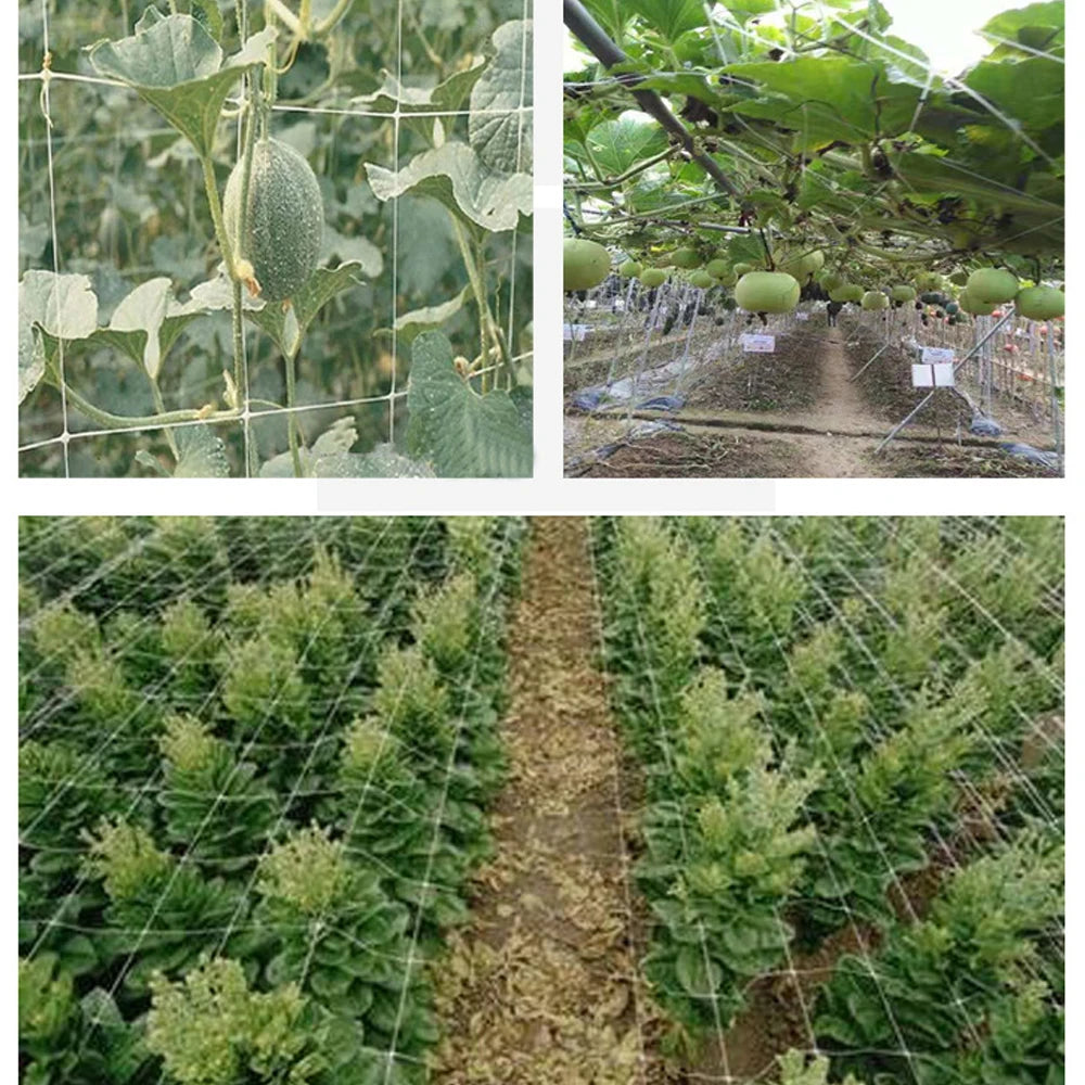 Garden Climbing Net, Trellis Netting, Heavy-Duty Plant Support Stand for Flowers Vegetable Vine, Orchard Gardening Tools