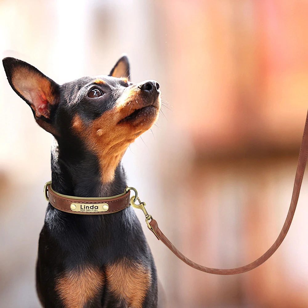 Customized Leather Dog Collar Leash Set, Soft Padded Leather Collar For Small Medium Large Dogs With Free Engraved Nameplate