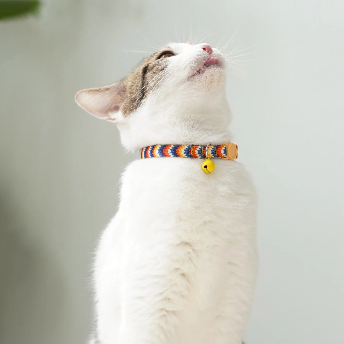 Cute Cat Weaving Necklace with Small Bell Design, Anti-Suffocation Cat Collar Adjustable 15-30cm Comfortable Soft nylon material