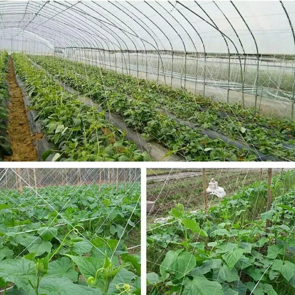 Garden Climbing Net, Trellis Netting, Heavy-Duty Plant Support Stand for Flowers Vegetable Vine, Orchard Gardening Tools