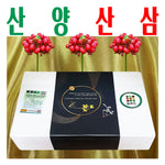 산양산삼/ 산양삼/ 장뇌산삼/ 7-8년근 정품