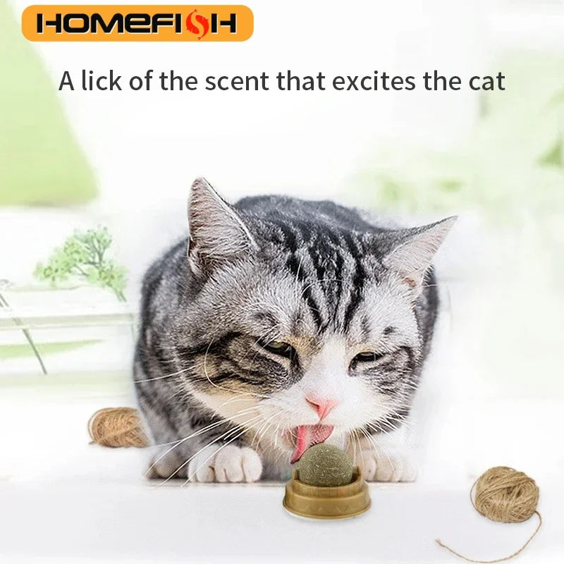HOMEFISH Natural Catnip Cat Wall Stick-on Ball Toy, Scratchers, Treats, Healthy, Removes Hairballs to Promote Digestion, Cat Grass Snack