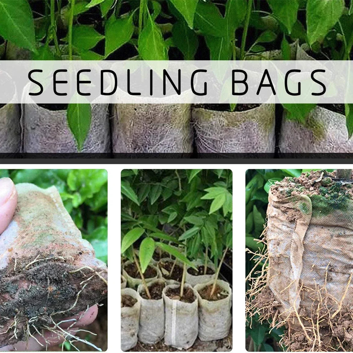 Seedling Bags 50 Pack Degradable Non-Woven Nursery Bags Fabric Seedling Grow Bags Plant Pouch for Garden Agricultural Supply