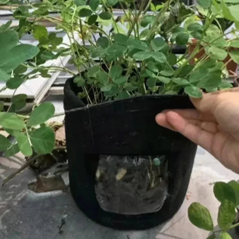 3Styles Felt, plant grow bags, nonwoven fabric garden potato pot, greenhouse vegetable growing bags, moisturizing vertical tools