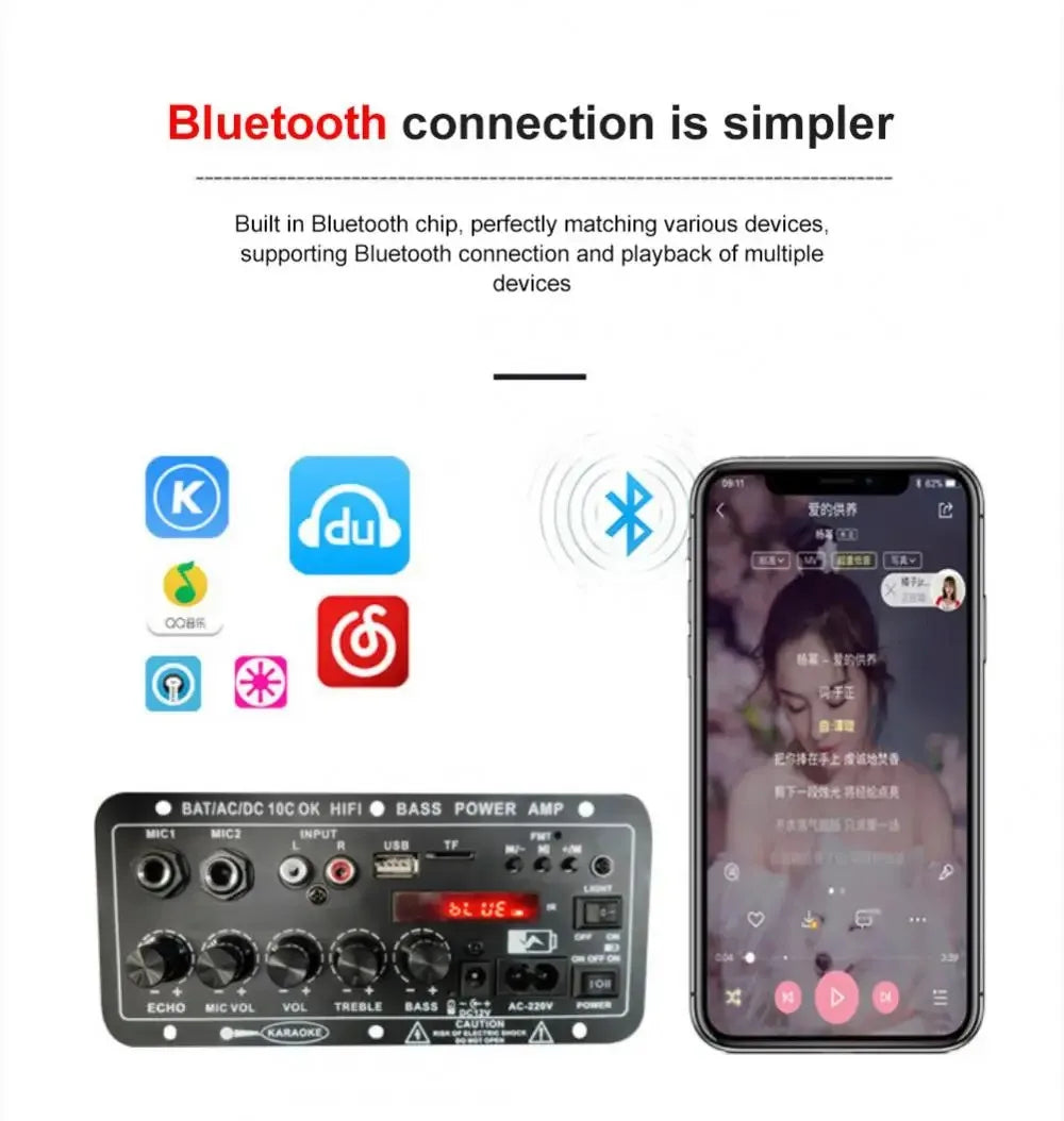 Woopker Power Amplification Board D10C BT 5.0 Dual Microphone Subwoofer Battery Rechargeable Digital Amplifier Board Karaoke