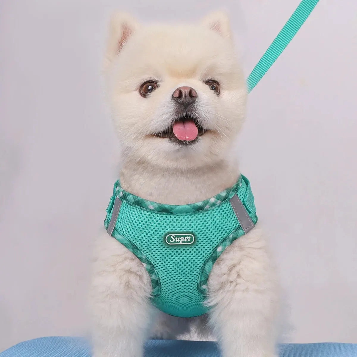 Dog Harness, Anti-Pull, Pet Harness, Adjustable, Easy to Control, Suitable for Small, Medium Dogs, SUPET