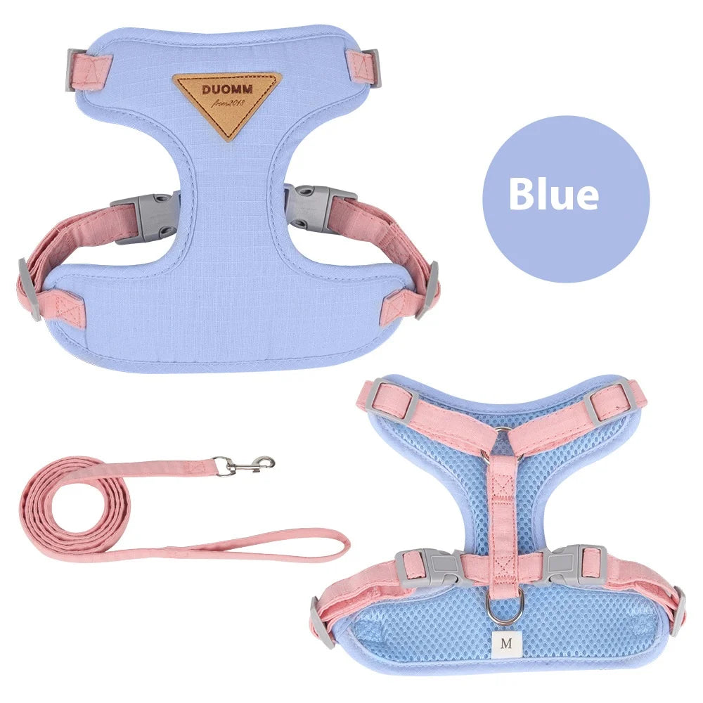 Escape Proof Cat Harness with Leash, Adjustable Soft Vest, Pet Walking Set for Outdoor, Kitty Safety No Pull Comfort Design
