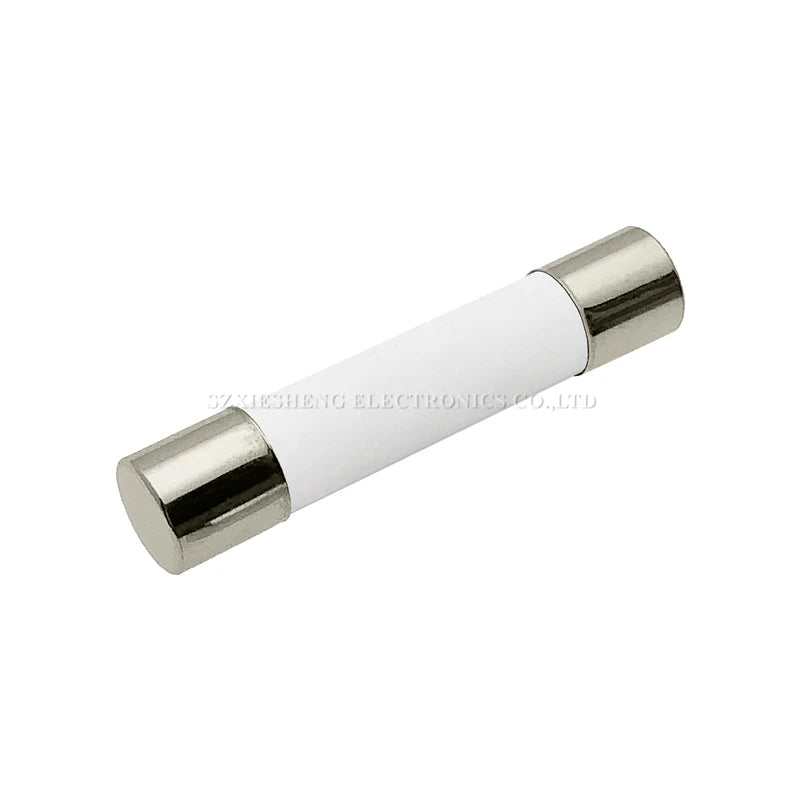 10PCS 5*20/6*30MM Slow-Blow Ceramic Tube Fuse T0.5A 1A 1.6A 2A 2.5A 3A 3.15A 4A 5A 6.3A 8A 10A 12A 15A 16A 20A Time-Delay Fuses