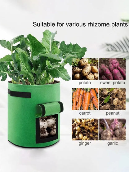 1Pc, Felt Potato Planting Bag, Large Diameter Vegetable Plant Seedling Bag, Non-Woven Felt Potato Growing Bucket