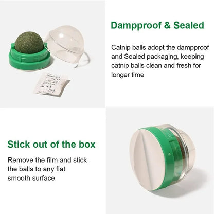 Natural Catnip Cat Wall Stick-on Ball Toy, Scratchers, Treats, Healthy, Natural, Removes Hairballs to Promote Digestion, Cat Grass Snack