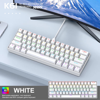 APAYADO K61 Mini Mechanical Keyboard, Wired, 61 Keys, Phantom RGB, Black/White Red/Blue Mechanical Switch for Gaming, 60% Portable