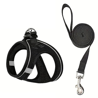 Dog Harness and Leash Set for Walking, Escape-Proof Vest Harness with Soft Mesh, Adjustable Straps, Reflective Strips, Suitable for Kittens and Puppies