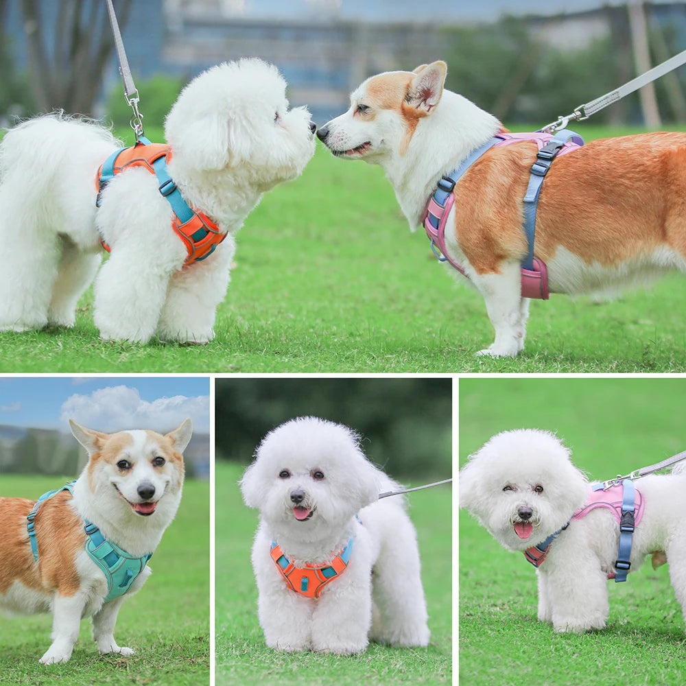 Mesh Breathable Dog Harness, Nylon Reflective Dog Harnesses Vest, Durable Pet Training Vest, Adjustable for Small Medium Large Dogs