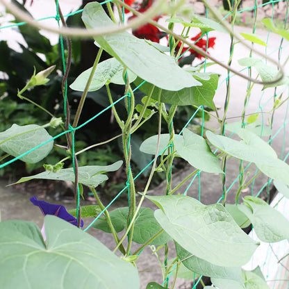 Garden Climbing Net Trellis Netting Heavy-Duty Plant Support Stand for Flowers Vegetable Vine Orchard Gardening Tools