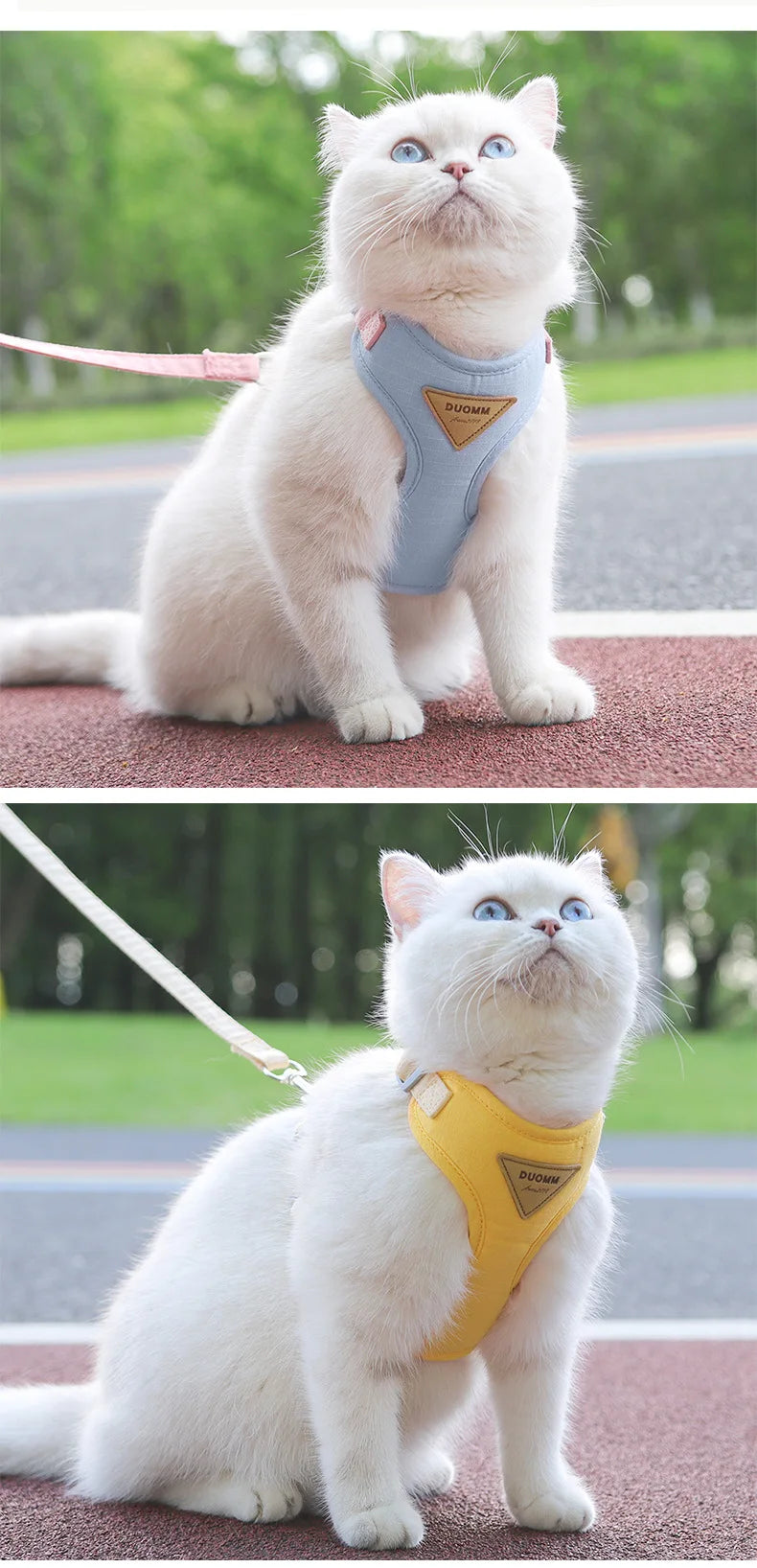 Escape Proof Cat Harness with Leash, Adjustable Soft Vest, Pet Walking Set for Outdoor, Kitty Safety No Pull Comfort Design