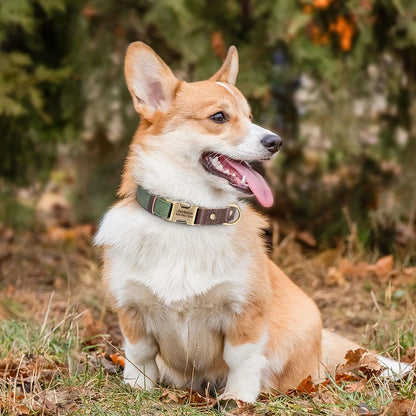 Free Custom PU Leather Dog Collar Engraved Dog Collars Adjustable Pet Buckle ID Necklace Durable for Small Medium Large Dogs Pug