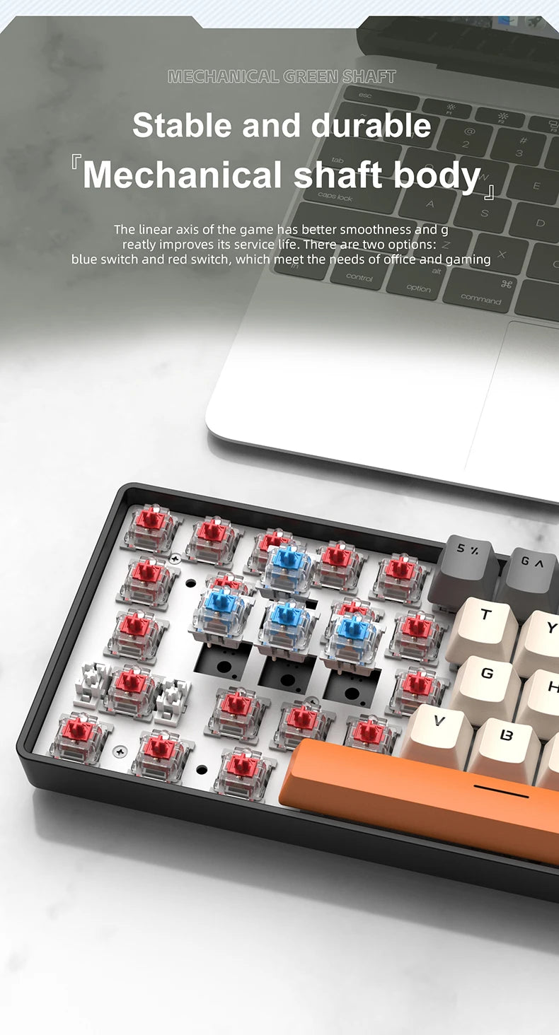 60% Portable Wired Mini Mechanical Keyboard, APAYADO K61 Mini Wired Keyboard, 61 Keys Phantom RGB, Black, White, Red, Red/Blue Switch