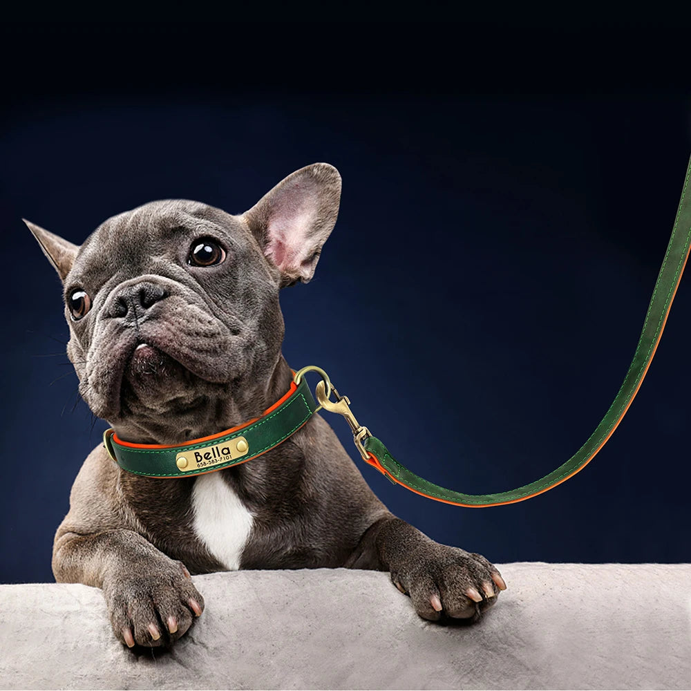 Customized Leather Dog Collar Leash Set, Soft Padded Leather Collar For Small Medium Large Dogs With Free Engraved Nameplate