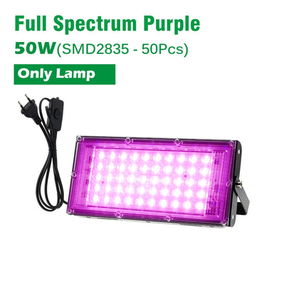 AC220V LED Plant Grow Light 50W/100W Phyto Lamp Full Spectrum Growing Lights with Bracket Adjustable Tripod for Seeds Veg Flower