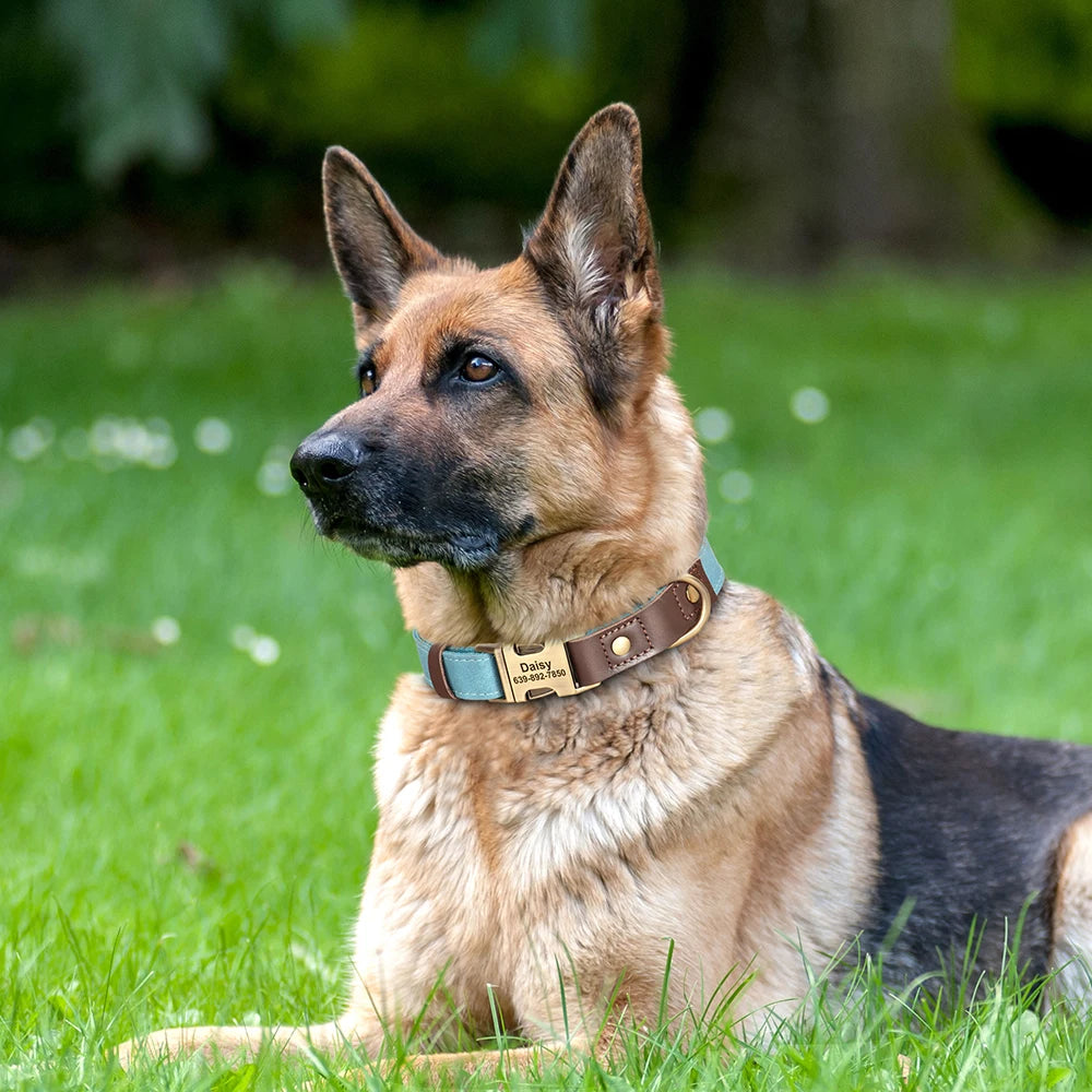 Free Custom PU Leather Dog Collar Engraved Dog Collars Adjustable Pet Buckle ID Necklace Durable for Small Medium Large Dogs Pug