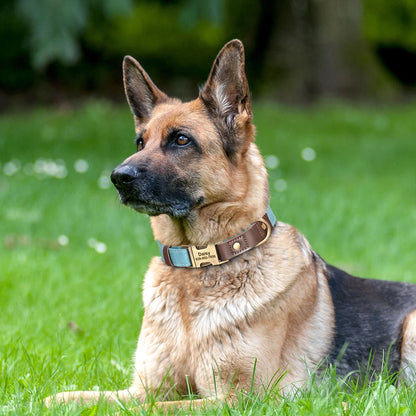 Free Custom PU Leather Dog Collar Engraved Dog Collars Adjustable Pet Buckle ID Necklace Durable for Small Medium Large Dogs Pug