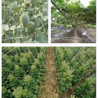 Garden Climbing Net Trellis Netting Heavy-Duty Plant Support Stand for Flowers Vegetable Vine Orchard Gardening Tools