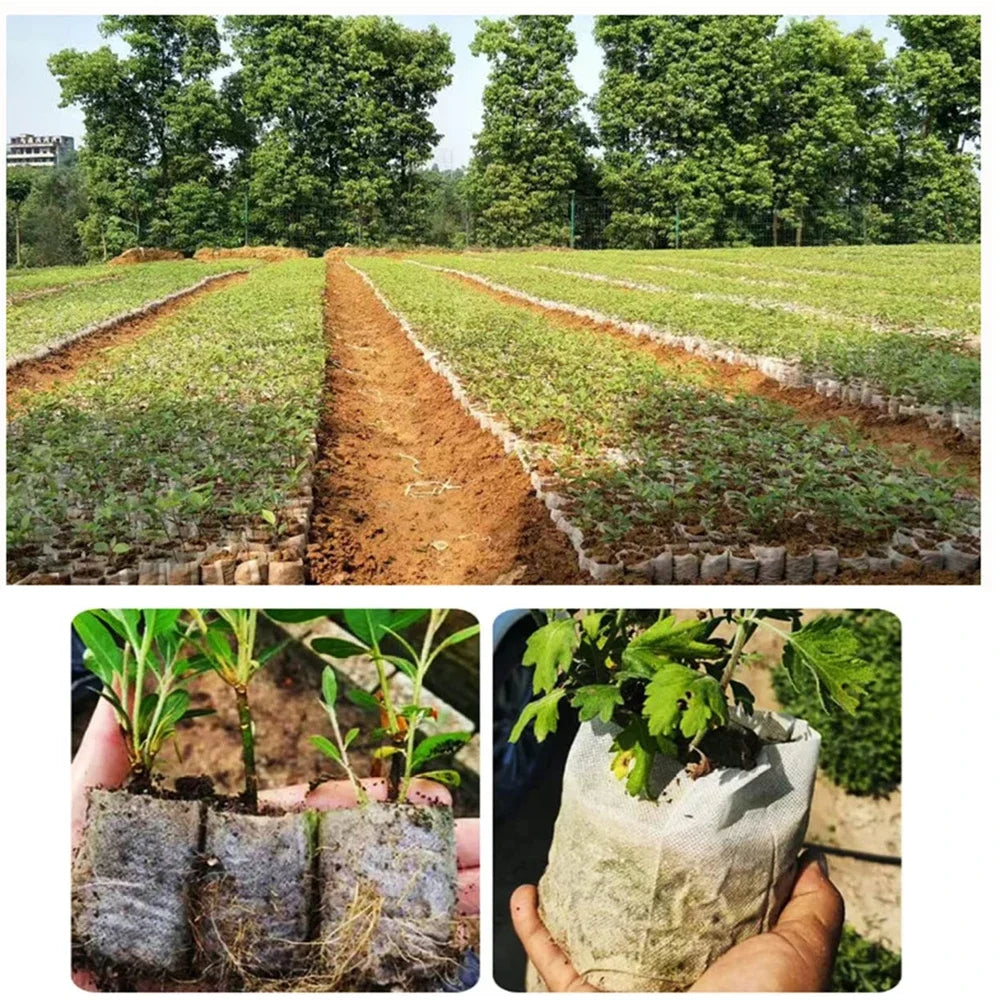 Seedling Bags 50 Pack Degradable Non-Woven Nursery Bags Fabric Seedling Grow Bags Plant Pouch for Garden Agricultural Supply