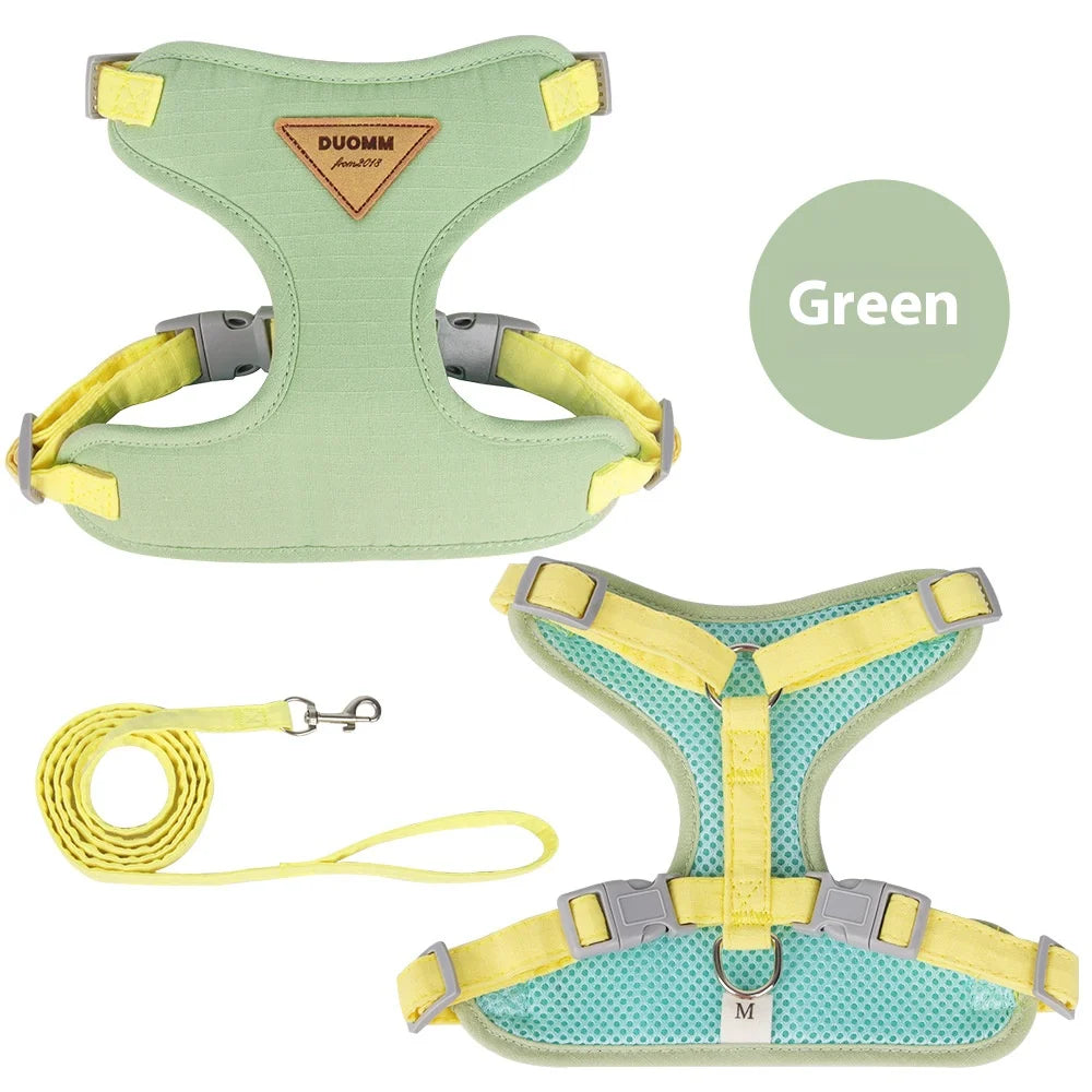 Escape Proof Cat Harness with Leash, Adjustable Soft Vest, Pet Walking Set for Outdoor, Kitty Safety No Pull Comfort Design