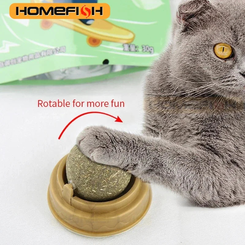 HOMEFISH Natural Catnip Cat Wall Stick-on Ball Toy, Scratchers, Treats, Healthy, Removes Hairballs to Promote Digestion, Cat Grass Snack