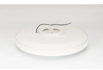 LED Smart Ceiling Lamps RGB APP Remote Control Dimming Modern Home Lighting Music Light with Speaker For Living Room Bedroom