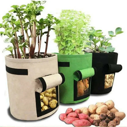 1Pc, Felt Potato Planting Bag, Large Diameter Vegetable Plant Seedling Bag, Non-Woven Felt Potato Growing Bucket
