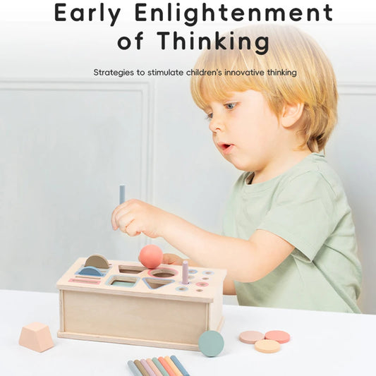 Baby Montessori Sensory Toy Obiect Permanent Box Color Sorting Matching Game Coin Box Ball Drop Fine Motor Skills Education Toys