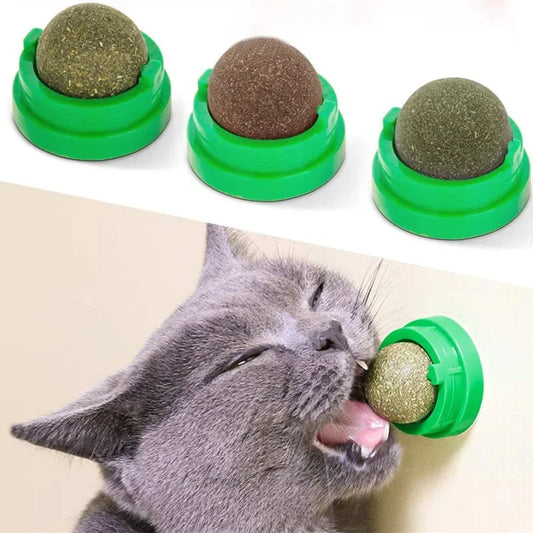Natural Catnip Cat Wall Stick-on Ball Toy, Scratchers, Treats, Healthy, Natural, Removes Hairballs to Promote Digestion, Cat Grass Snack