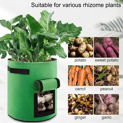 1Pc, Felt Potato Planting Bag, Large Diameter Vegetable Plant Seedling Bag, Non-Woven Felt Potato Growing Bucket