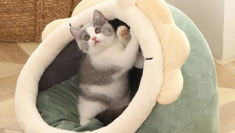 Deep Sleep Cat Bed, Cartoon Pet Bed, Foldable Removable Washable Pet Sleeping Bed for Small Dog, Mat Bag Cave, Cats Bed