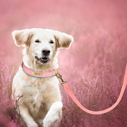 Customized Leather Dog Collar Leash Set, Soft Padded Leather Collar For Small Medium Large Dogs With Free Engraved Nameplate