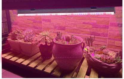 Full Spectrum LED Growth Tube 4000K/Purple/Sunlight Plant Lamp Greenhouse Hydroponic Flower Growth Lamp