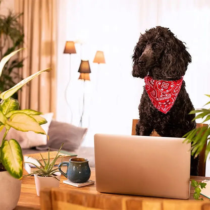 Dog Bandana Collar Detachable Dog Bandanas Scarf Collar Washable Dog Triangle Bibs Collars for Small Medium Dogs Cats