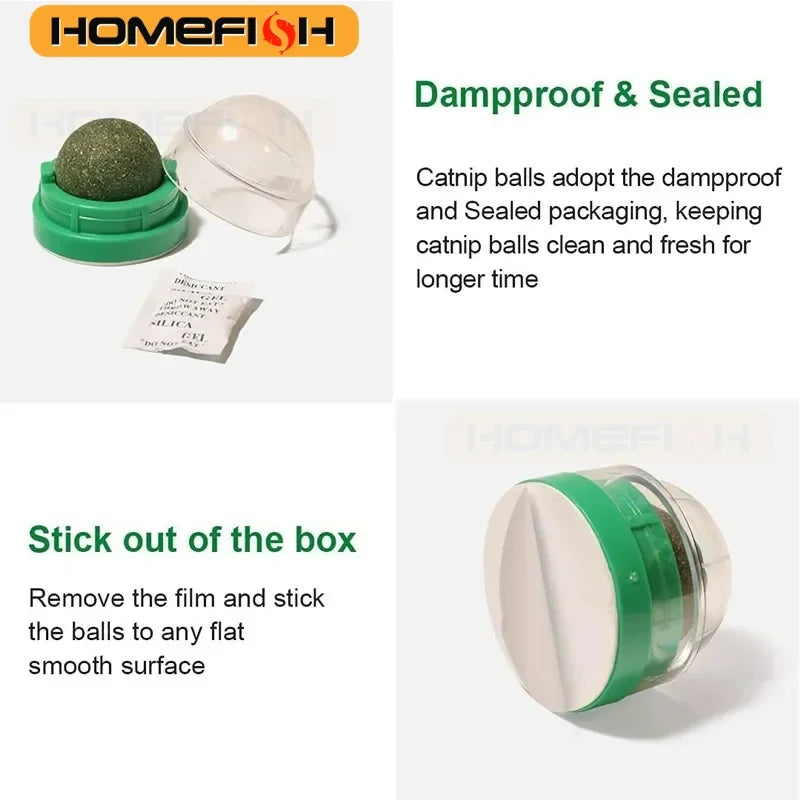 HOMEFISH Natural Catnip Cat Wall Stick-on Ball Toy, Scratchers, Treats, Healthy, Removes Hairballs to Promote Digestion, Cat Grass Snack