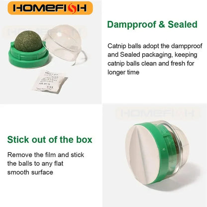 HOMEFISH Natural Catnip Cat Wall Stick-on Ball Toy, Scratchers, Treats, Healthy, Removes Hairballs to Promote Digestion, Cat Grass Snack