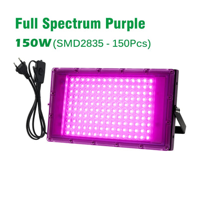 AC220V LED Plant Grow Light 50W/100W Phyto Lamp Full Spectrum Growing Lights with Bracket Adjustable Tripod for Seeds Veg Flower