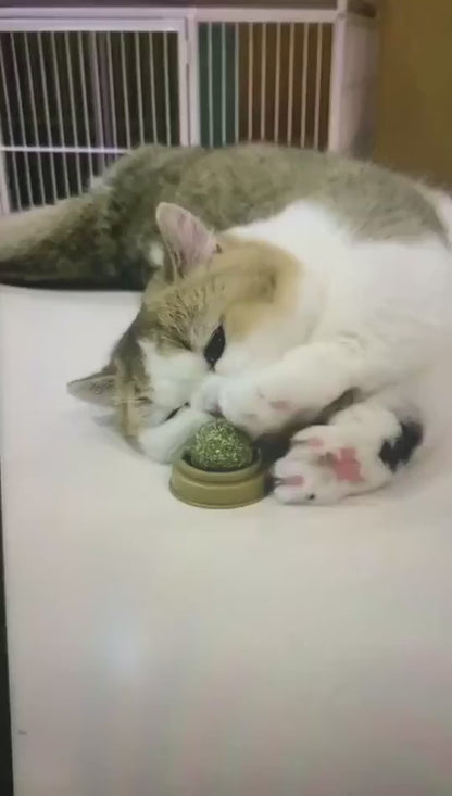 The Catnip Cat Wall Stick-on Ball Toy Scratchers Treats Healthy Natural Removes Balls To Promote Digestion Cat Grass Snack